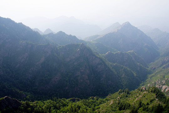 原始山林