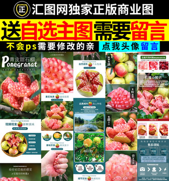 青皮石榴詳情