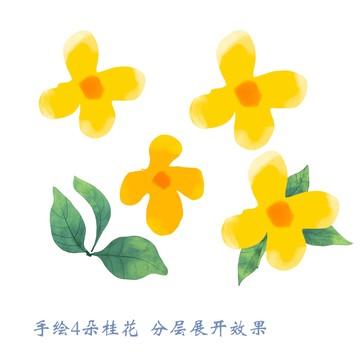 手绘桂花