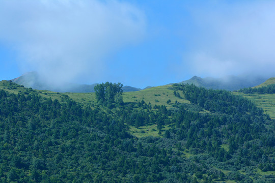 蓝天白云青山绿树