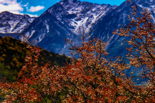 贡嘎山风光