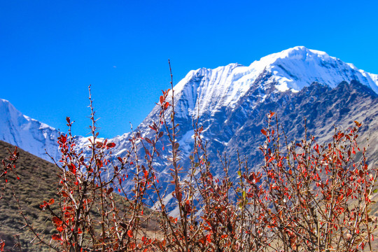 川西贡嘎山