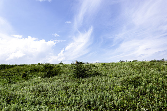 绿色山岭