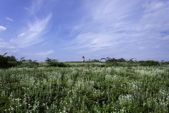 绿色山岭