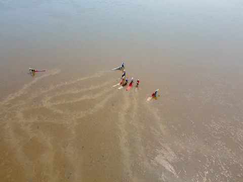 航拍黄河三角洲生态旅游区