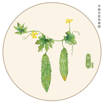 手繪苦瓜