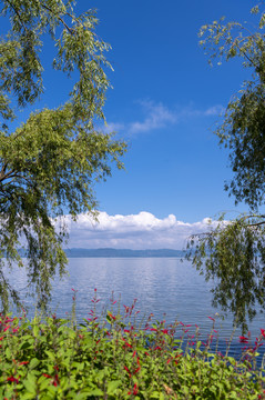 高原湖泊