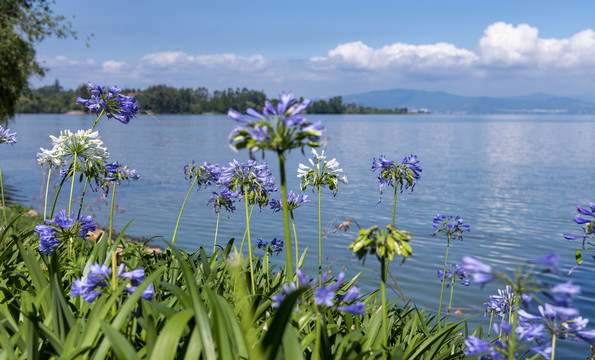 高原湖泊