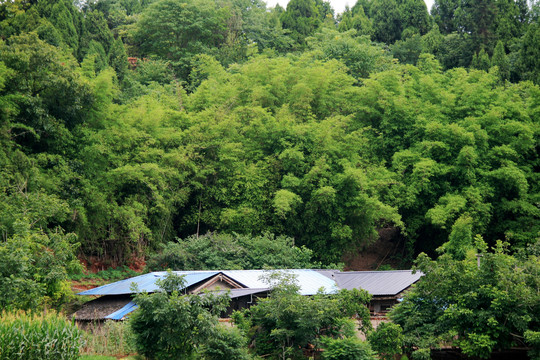 山里人家