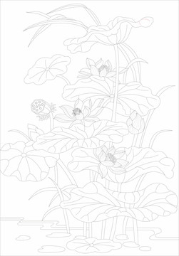 荷花圖