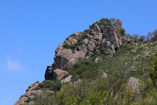 百花山