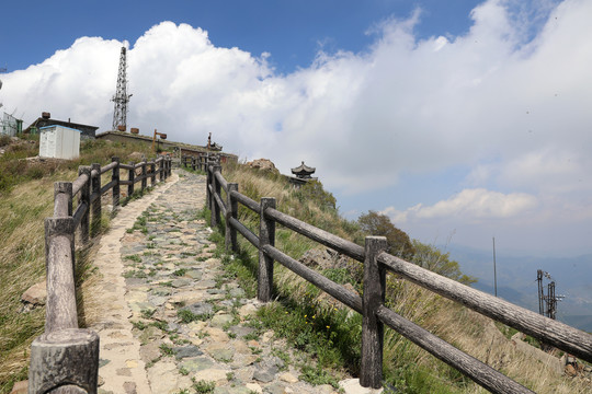 百花山