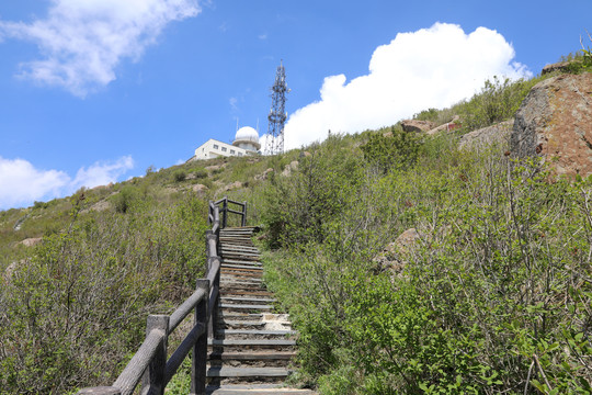 百花山