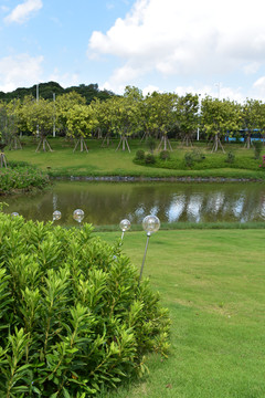 松山湖湖畔花园万科里风景