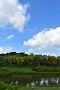 松山湖湖畔花园万科里风景