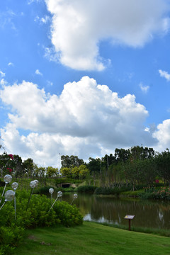 松山湖湖畔花园万科里风景