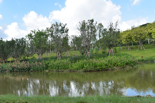 松山湖湖畔花园万科里风景