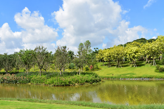 松山湖湖畔花园万科里风景