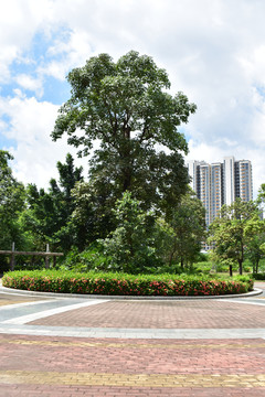 松山湖太鲁阁公园