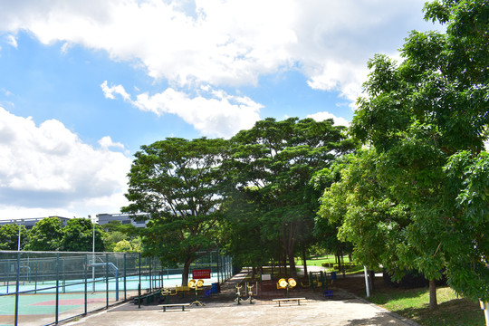 松山湖太鲁阁公园健身区