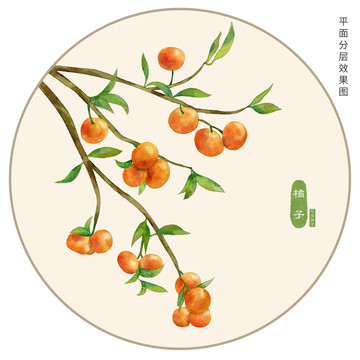 手繪橘子插畫