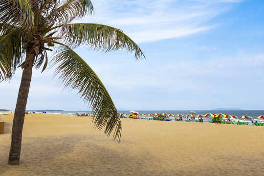 沙滩海滩太阳伞