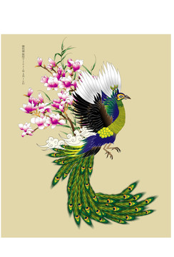 綠孔雀