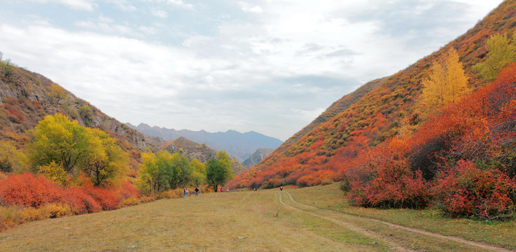 山岭秋色