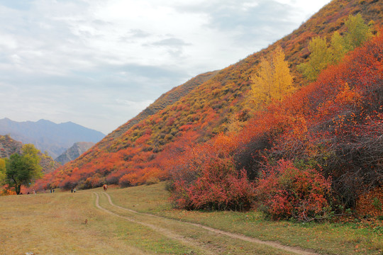 山岭秋色