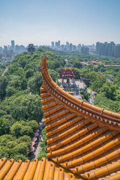 从武汉黄鹤楼上俯瞰城市全景