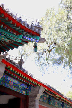 北京植物园卧佛寺