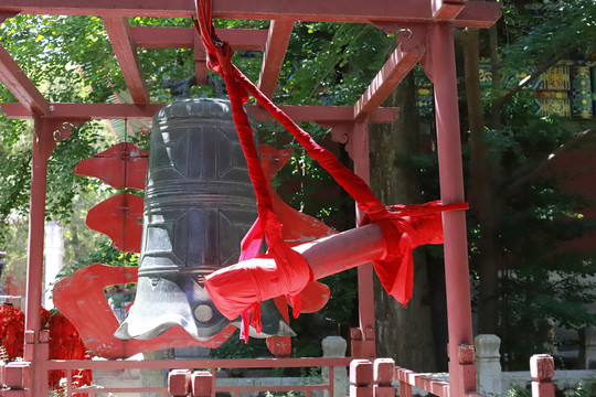 北京植物园卧佛寺