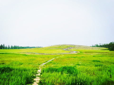 温榆河公园云上梯田