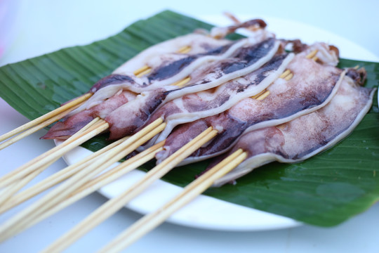 烧烤小吃野外烧烤鸡肉鱼肉烧烤腌