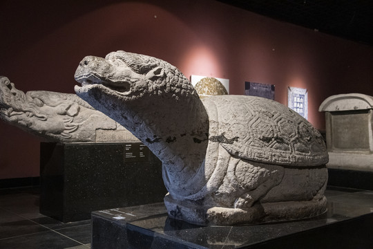 中国西安碑林石刻艺术室唐代石龟