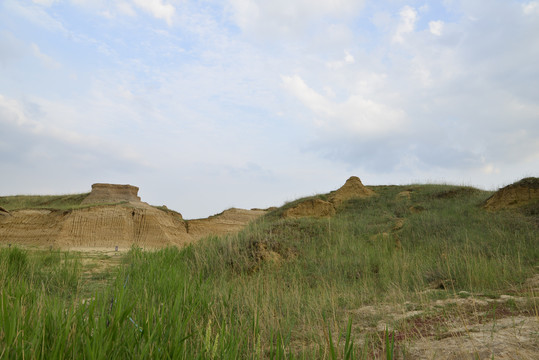 大同土林