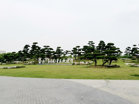 运河山湾风景区