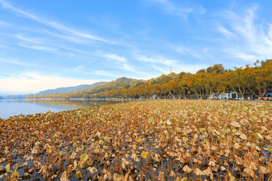 杭州西湖秋景