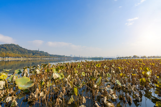 杭州西湖秋景断桥