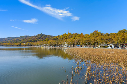 杭州西湖秋景