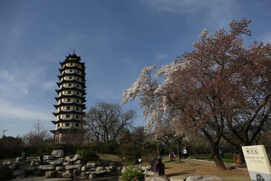 沂水县东皋公园文峰塔