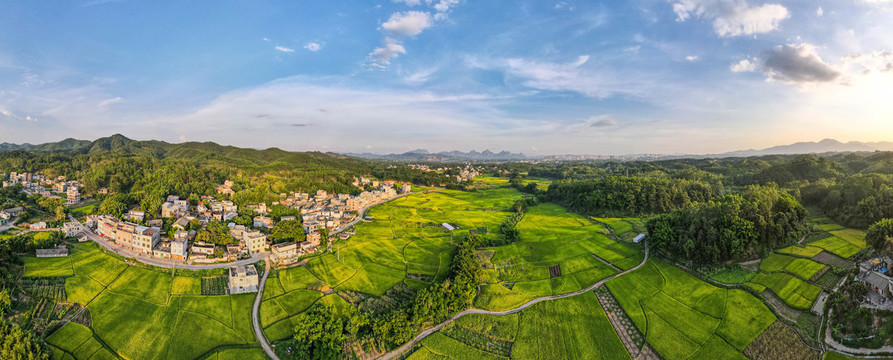 琼新村田野