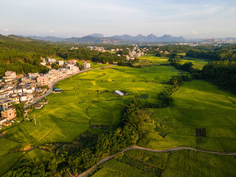 琼新村田野