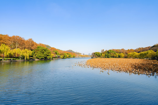 杭州西湖秋景