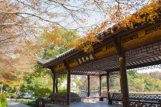 杭州西湖中式建筑綠水芙蕖秋景