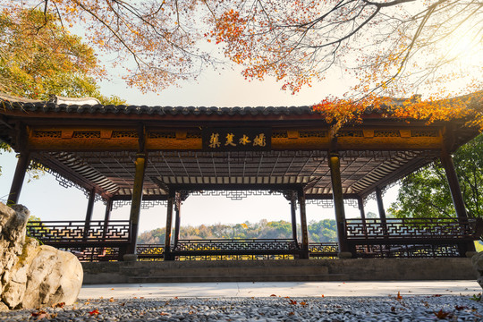 杭州西湖中式建筑绿水芙蕖秋景