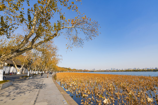 杭州西湖秋景