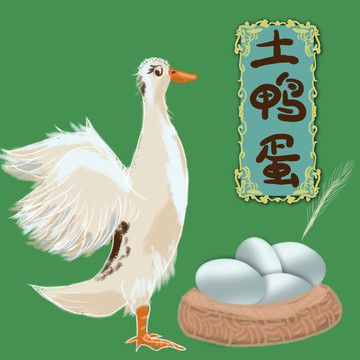 白鴨鴨蛋