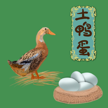 土鴨蛋