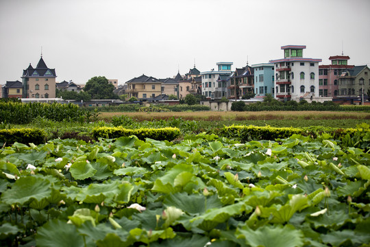 美丽乡村